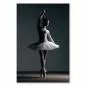 Preview: Ballerina in Tutu zeigt elegante Pose auf Spitze, Licht- und Schatten-Spiel verleiht besondere Atmosphäre.