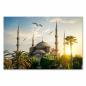 Preview: Blaue Moschee in Istanbul, Sonnenuntergang, Palmen & Möwen - malerisch.