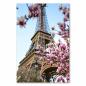 Preview: Eiffelturm, umrahmt von blühenden Magnolien - romantische Paris-Ansicht.