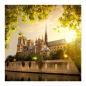 Preview: Kathedrale Notre Dame in Paris, Morgensonne, gotische Architektur, malerisch.