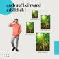 Preview: Leinwandbild "Im Dschungel": Die Kraft der Natur & tropisches Flair