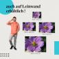 Preview: Leinwandbild "Heuschrecke auf Blume": Sommer & Blüte