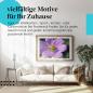 Preview: Dieses Leinwandbild mit der Heuschrecke und der Blume ist ein Hingucker und versprüht Sommerlaune.