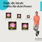 Preview: Lotusblüte, Poster: Pink, gelbes Herz, grün, Nahaufnahme.