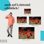 Preview: Leinwandbild "Leuchtend rotes Mohnblumenfeld": Sommer & Blumenwiese