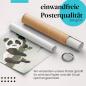 Preview: Gerolltes Poster "Panda" - Tiermotiv & Lebensfreude, sicher verpackt.