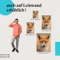 Preview: Fuchs: Leinwandbild. Rot, Blick, Zunge, Augen.