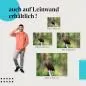 Preview: Seeadler: Leinwandbild. Baumstamm, Blick.