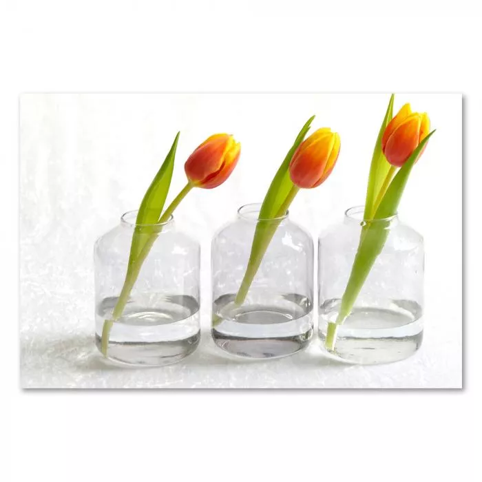 Drei gelbe Tulpen in schlichten Glasvasen, arrangiert vor weißem Hintergrund.