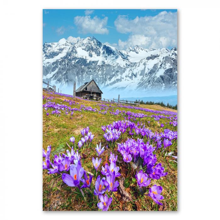 Eine wunderschöne Alpenlandschaft: Ein kleines Holzhaus steht auf einer üppigen Blumenwiese, im Hintergrund erheben sich schneebedeckte Berge - idyllisch.