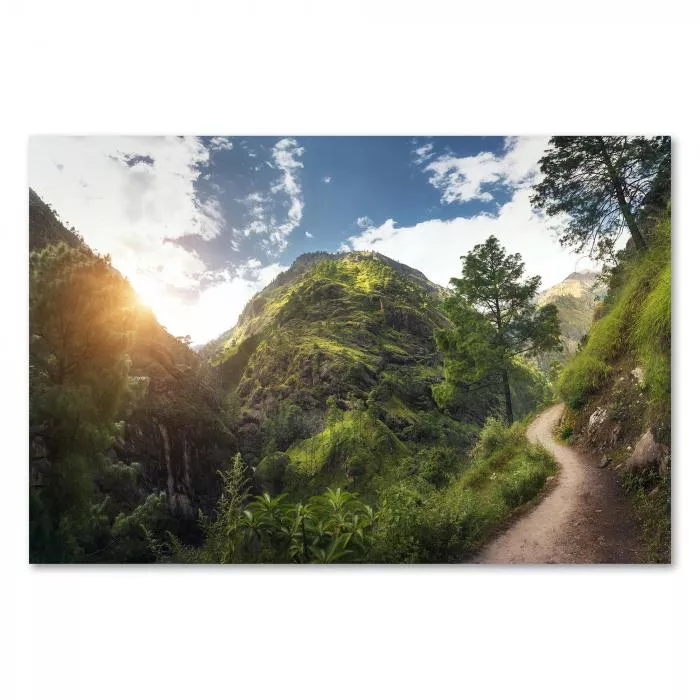 Schmaler Pfad, grüne Berglandschaft im Himalaya, Sonne durch Bäume.