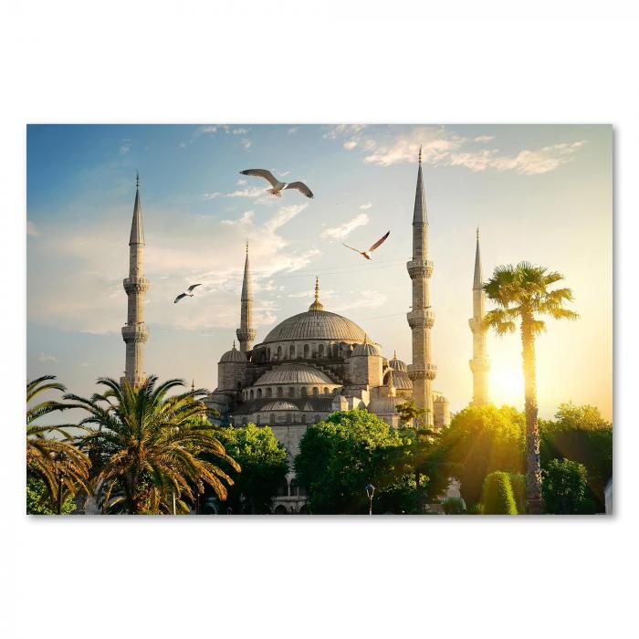 Blaue Moschee in Istanbul, Sonnenuntergang, Palmen & Möwen - malerisch.