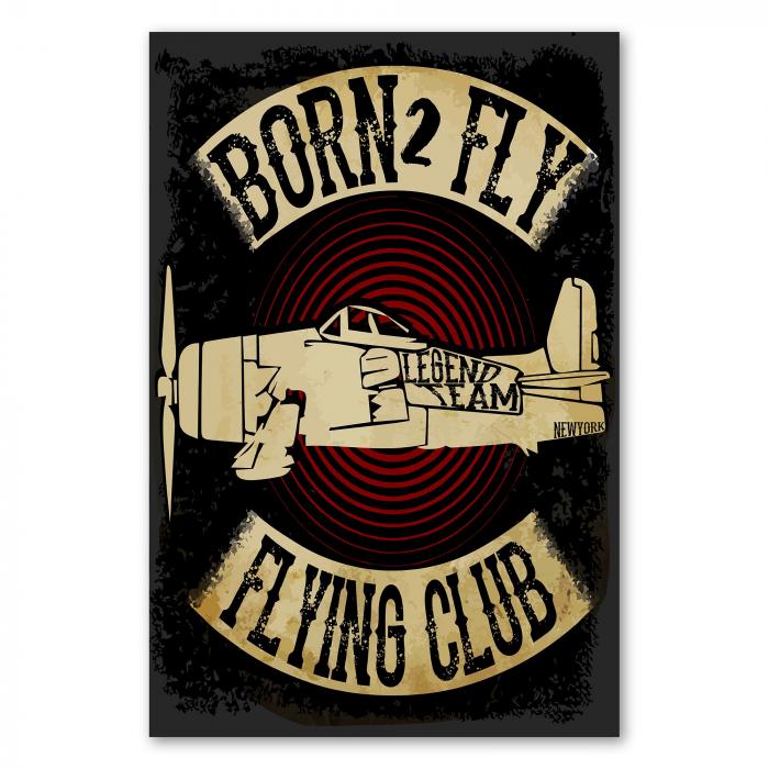 Ein Flugzeug im Vintage-Stil. Das Design trägt die Schriftzüge "Born 2 Fly" und "Flying Club".