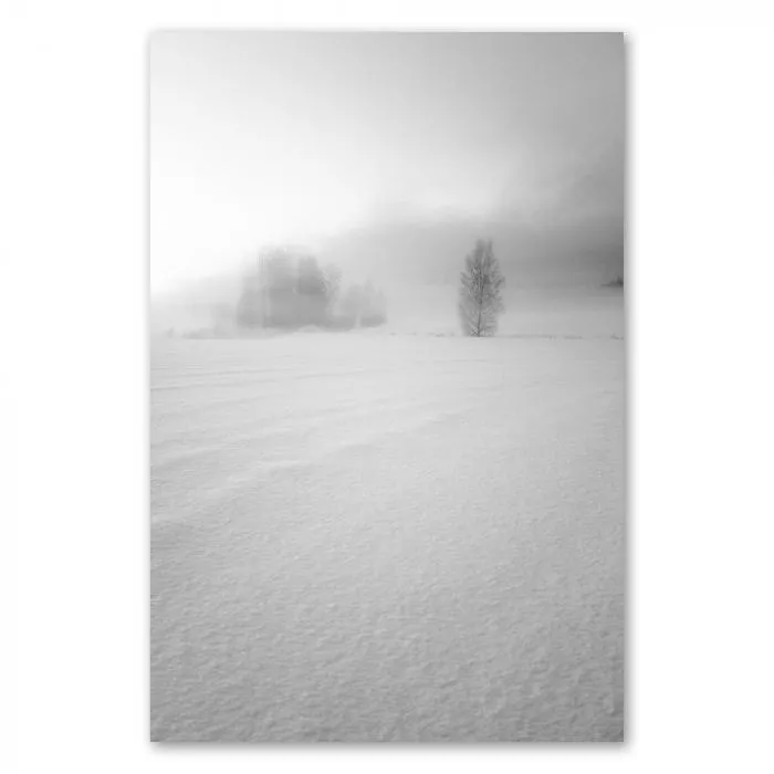 Einsamer Baum steht im schneebedeckten Feld, eingehüllt in Nebel, Ruhe und winterliche Schönheit.