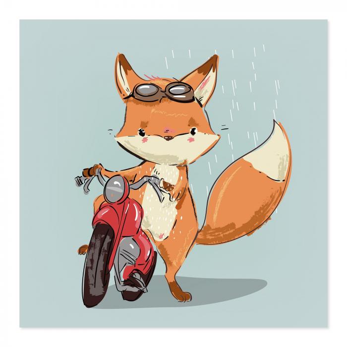 Fuchs mit Fliegerbrille, Motorrad, Regen - niedlich & cool.