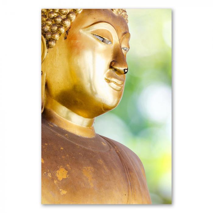 Eine goldene Buddha-Statue mit mildem Gesichtsausdruck – ein Symbol für Frieden und Weisheit.