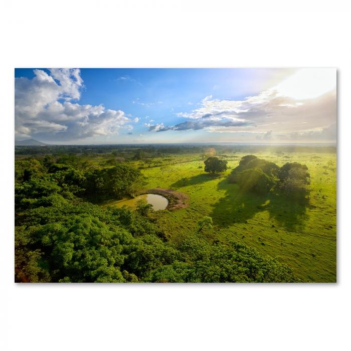 Luftaufnahme einer grünen Hügellandschaft mit einem See - ein idyllisches Bild der Natur.