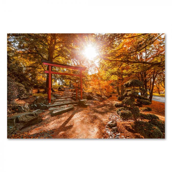 Ein rotes Tor in einem japanischen Garten, umgeben von goldenem Herbstlaub - ein Bild der Ruhe und Schönheit.