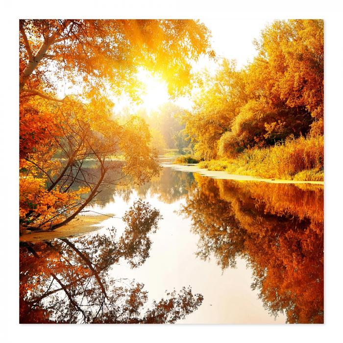 Herbstlandschaft: Fluss, Bäume mit orangefarbenem Laub, Spiegelung, Sonnenlicht.