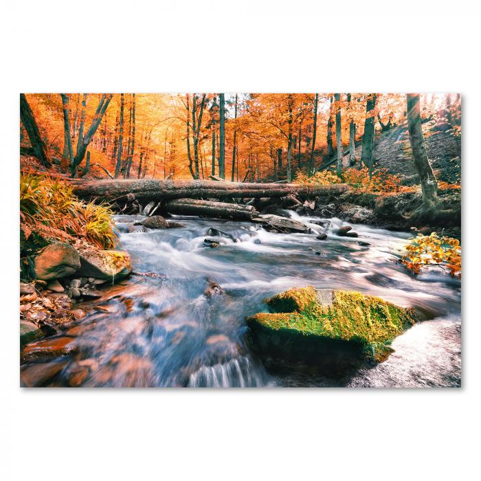 Rauschender Fluss, herbstlicher Wald, bunte Blätter, Sonnenlicht.