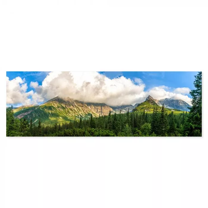 Panorama: Hohe Tatra, Wälder, Gipfel, Wolken - Wanderparadies.