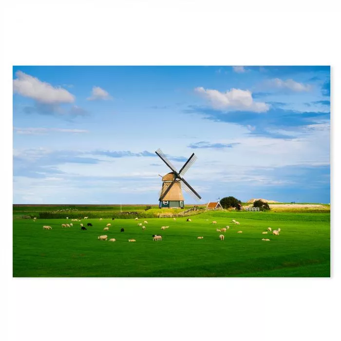 Windmühle, grüner Deich, Schafherde auf Wiese, blauer Himmel & Wolken.