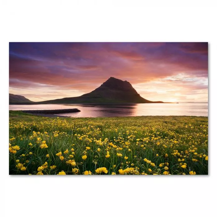 Kirkjufell in Island im Licht des Sonnenuntergangs, Feld mit gelben Blumen.