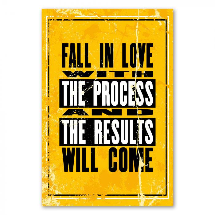 „Fall in love with the process and the results will come“ - motivierendes Poster über Geduld und Passion.