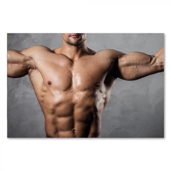 Trainierter Oberkörper eines Mannes, Muskeln - Fitness & Bodybuilding.