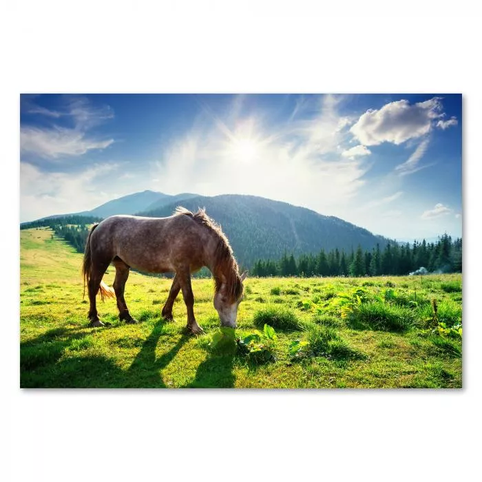 Pferd grast auf Wiese, Berge im Hintergrund, Sonnenuntergang, warme Farben.