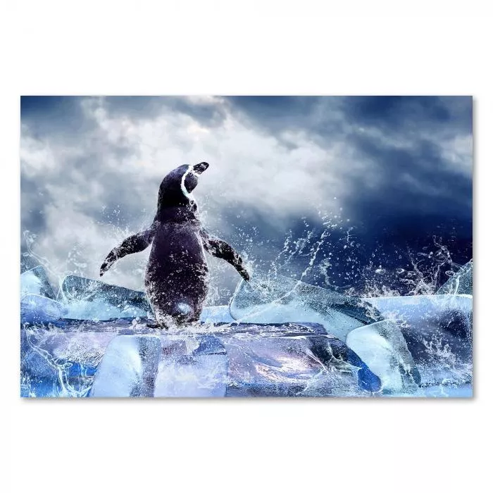 Ein Pinguin springt elegant aus dem Wasser auf eine Eisscholle, zeigt Lebensfreude in extremen Lebensräumen.