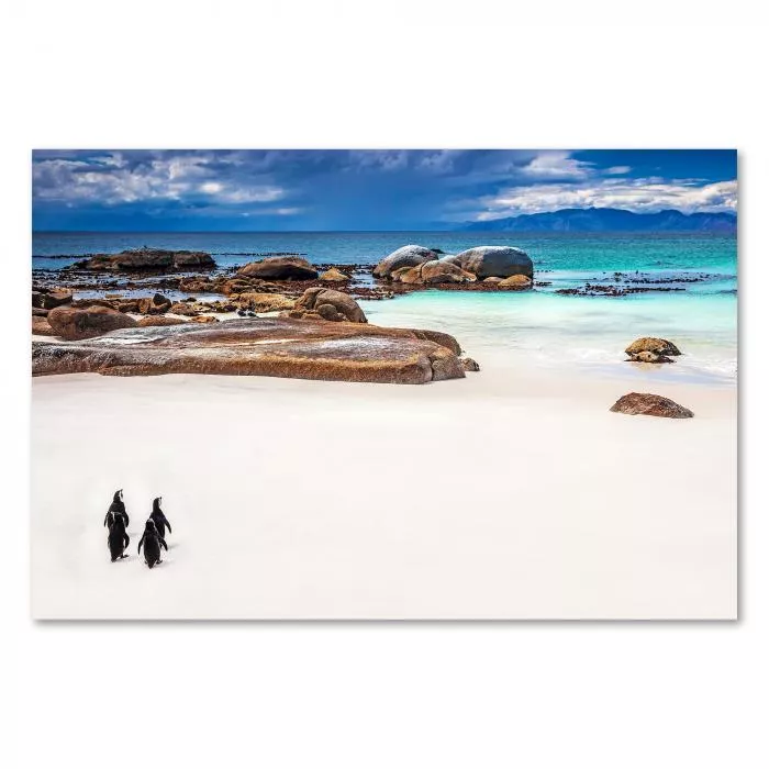 Pinguine am Strand von Boulders Beach – ein einzigartiges Naturerlebnis in Südafrika.