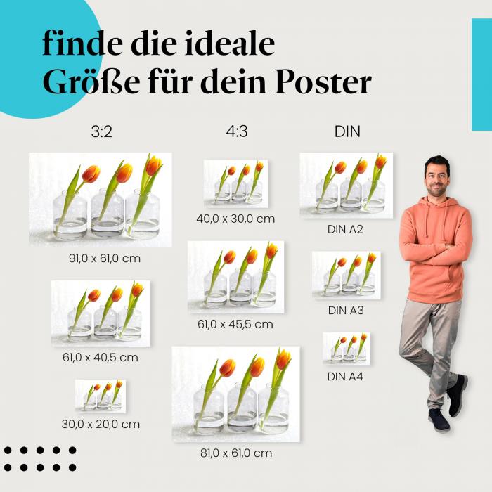 Tulpen, Poster: Gelb, Glasvasen, weißer Hintergrund.