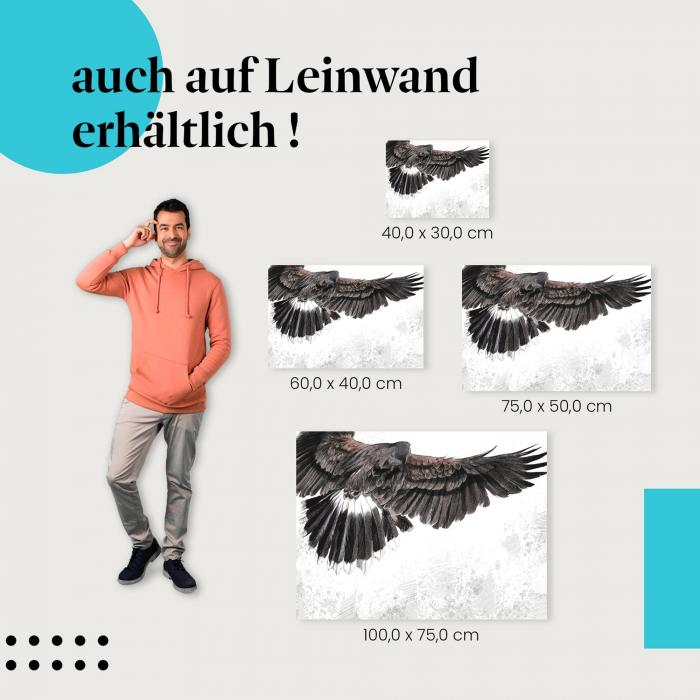 Adler: Leinwandbild. Flügel, Zeichnung.