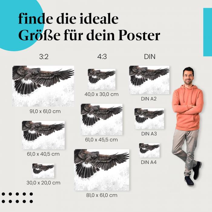 Adler, Poster: Flügel, Federn, Zeichnung.