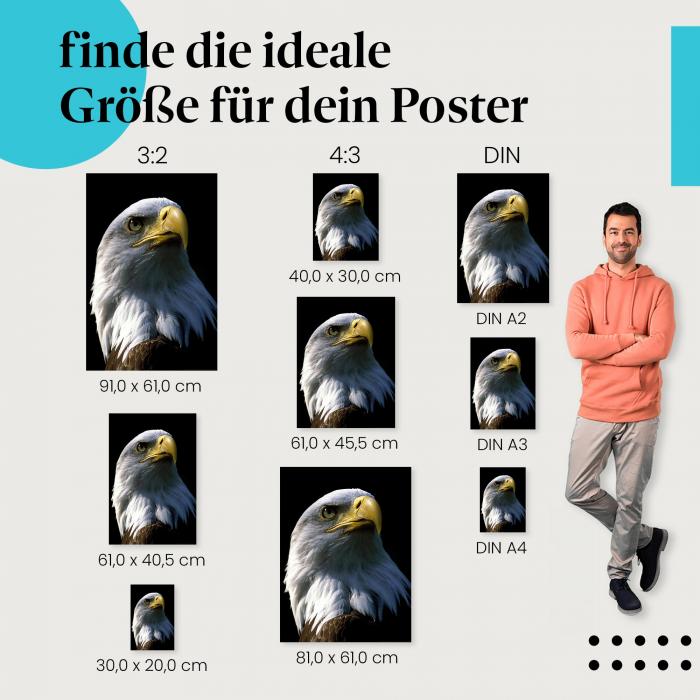 Adler Poster: Majestätischer Greifvogel - jetzt Postergröße wählen.