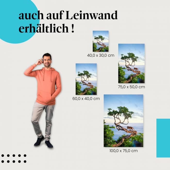 Affe: Leinwandbild. Baum, Küste, Meerblick.