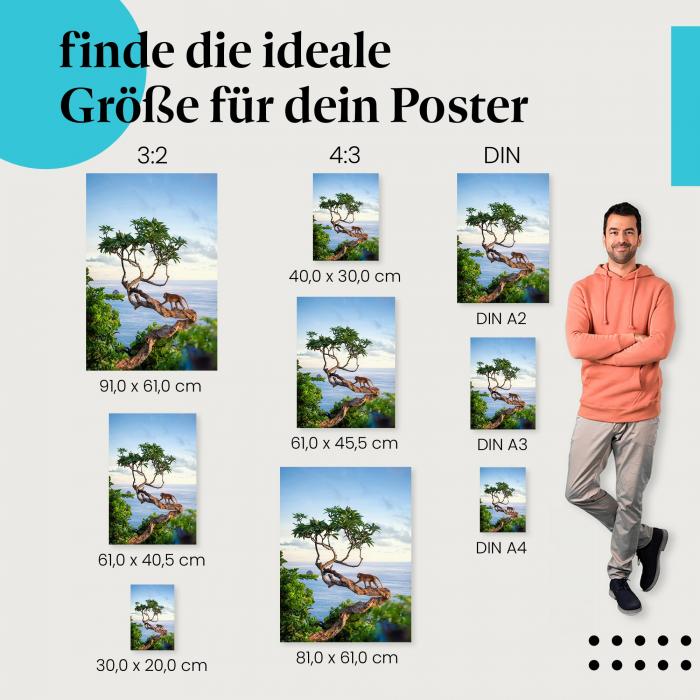 Affe, Poster: Baum, Küste, Meer, Sonne.