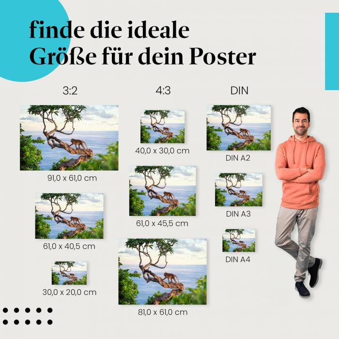 Affe, Poster: Ast, Meer, Sonnenuntergang.