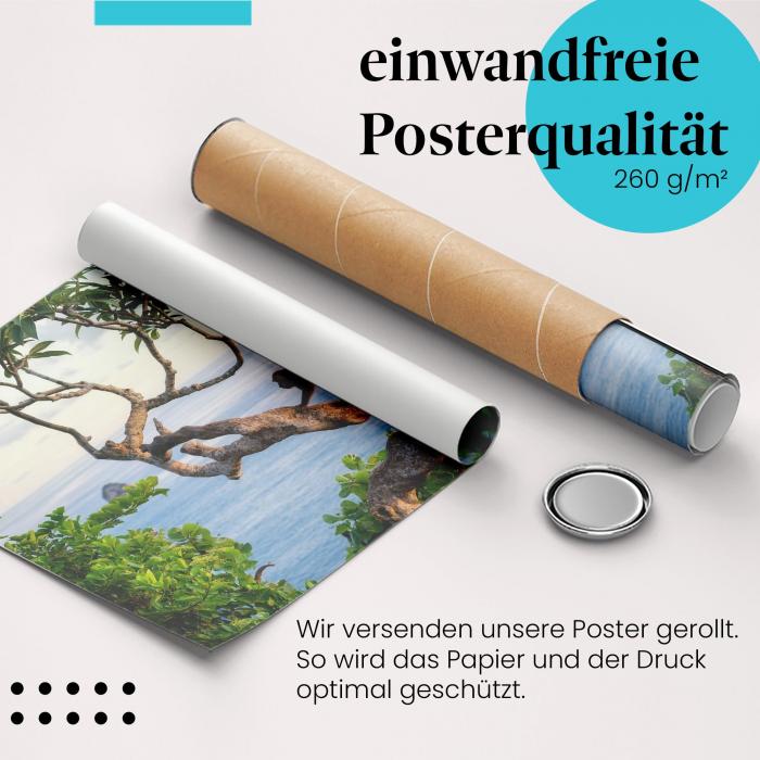 Gerolltes Poster "Affe & Meer". Tier & Natur, sicher verpackt.