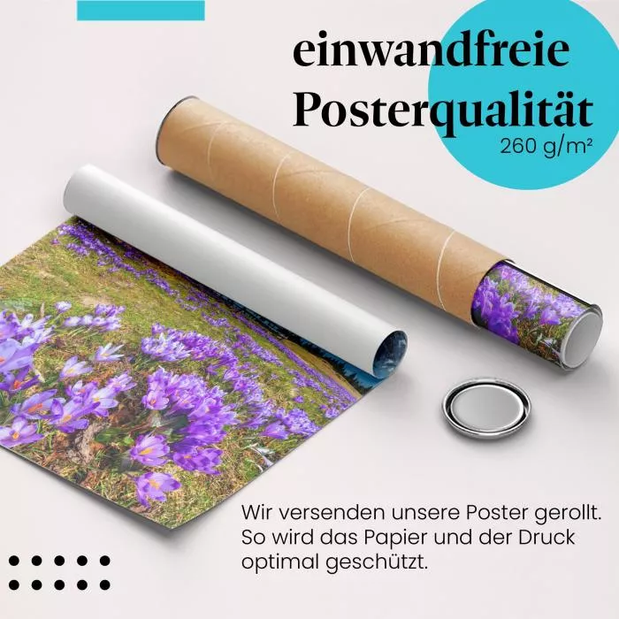 Alpenidylle | Postereck 3198