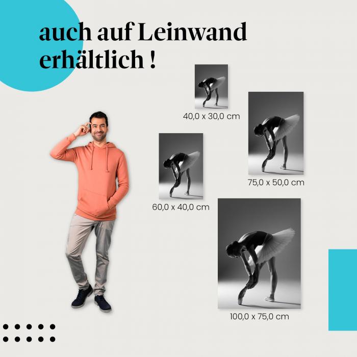 Leinwandbild "Beweglichkeit": Die Flexibilität & Anmut des Balletts