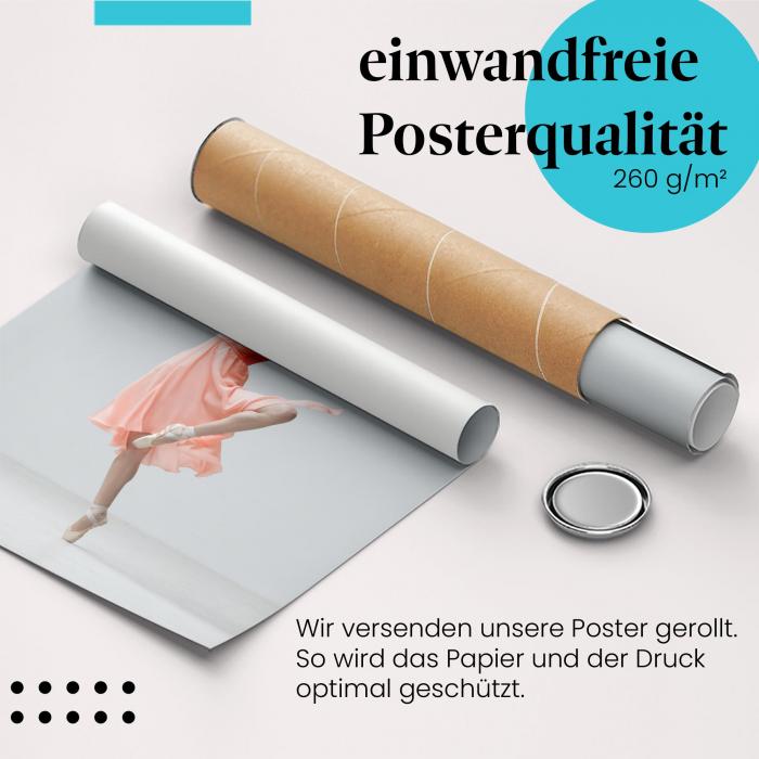 Gerolltes Poster "Ballerina" - Eleganz & Anmut, sicher verpackt.