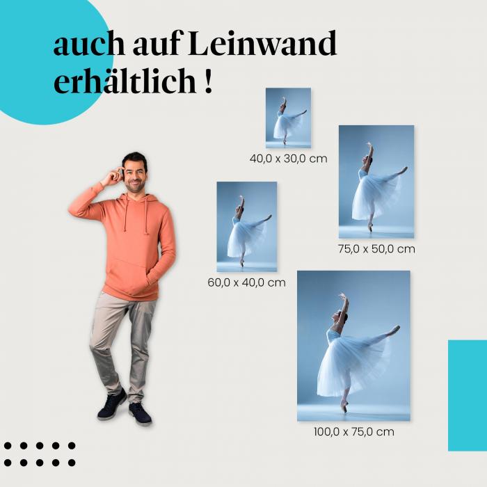 "Anmut und Grazie: Balletttänzerin im Licht" Leinwandbild - Ballett-Magie für dein Zuhause!