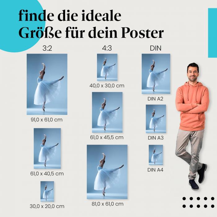 Ein Hauch von Anmut für deine Wand - das "Anmut und Grazie: Balletttänzerin im Licht" Poster!