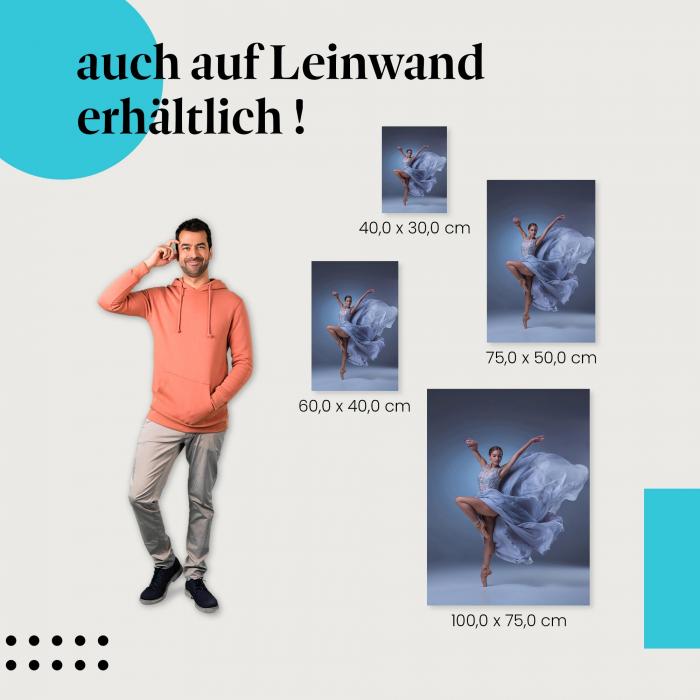 "Tanz der Anmut: Balletttänzerin im Kleid" Leinwandbild - Ein Hauch von Eleganz für deine Wand.