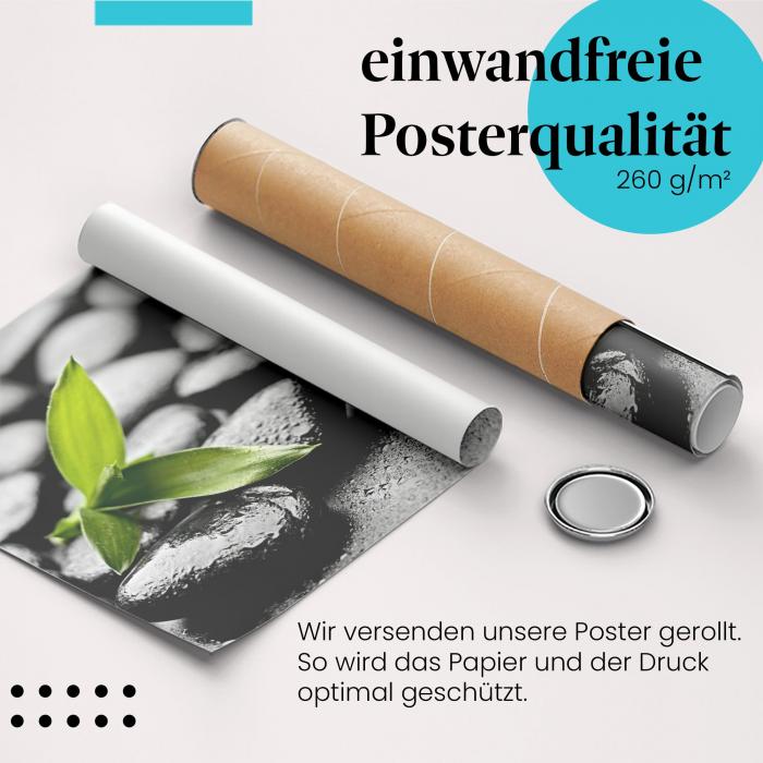 Gerolltes Poster "Bambus". Zen & Natur, sicher verpackt.