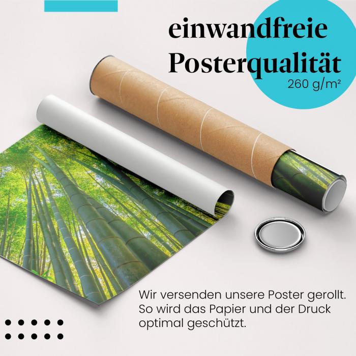 Gerolltes Poster "Bambuswald". Natur & Ruhe, sicher verpackt.