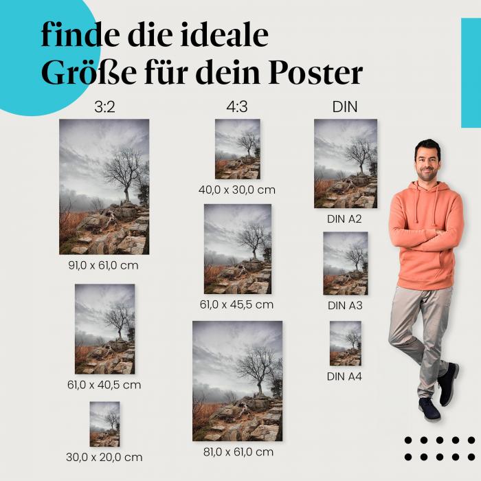 Finde die ideale Postergröße: Kahler Baum auf Felsen, bewölkter Himmel.