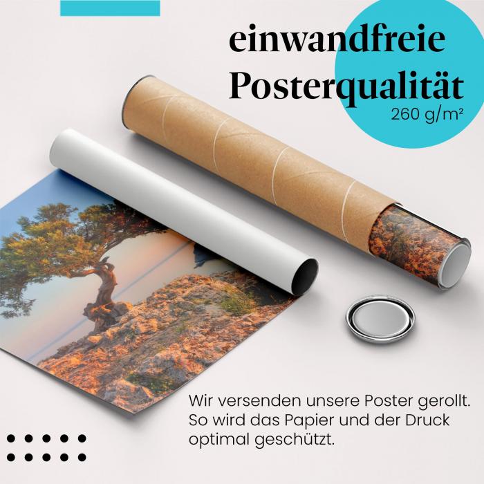 Gerolltes Poster "Baum & Meer" - Natur & Weite, sicher verpackt.